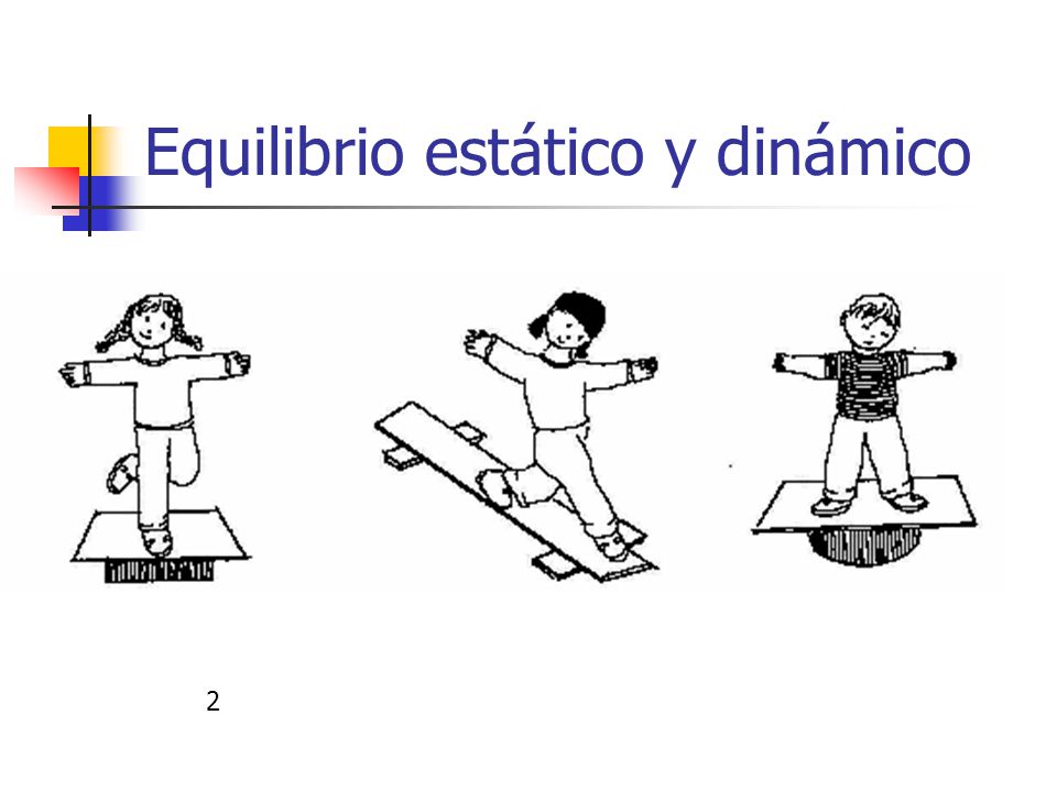 Equilibrio dinámico y estático