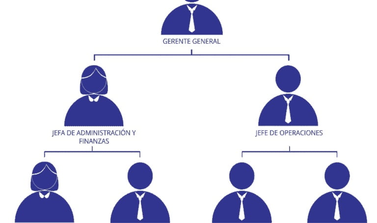 Organigrama de una empresa pequeña y sus funciones